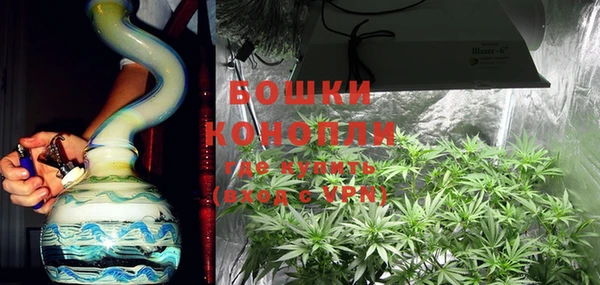 гидра Новодвинск